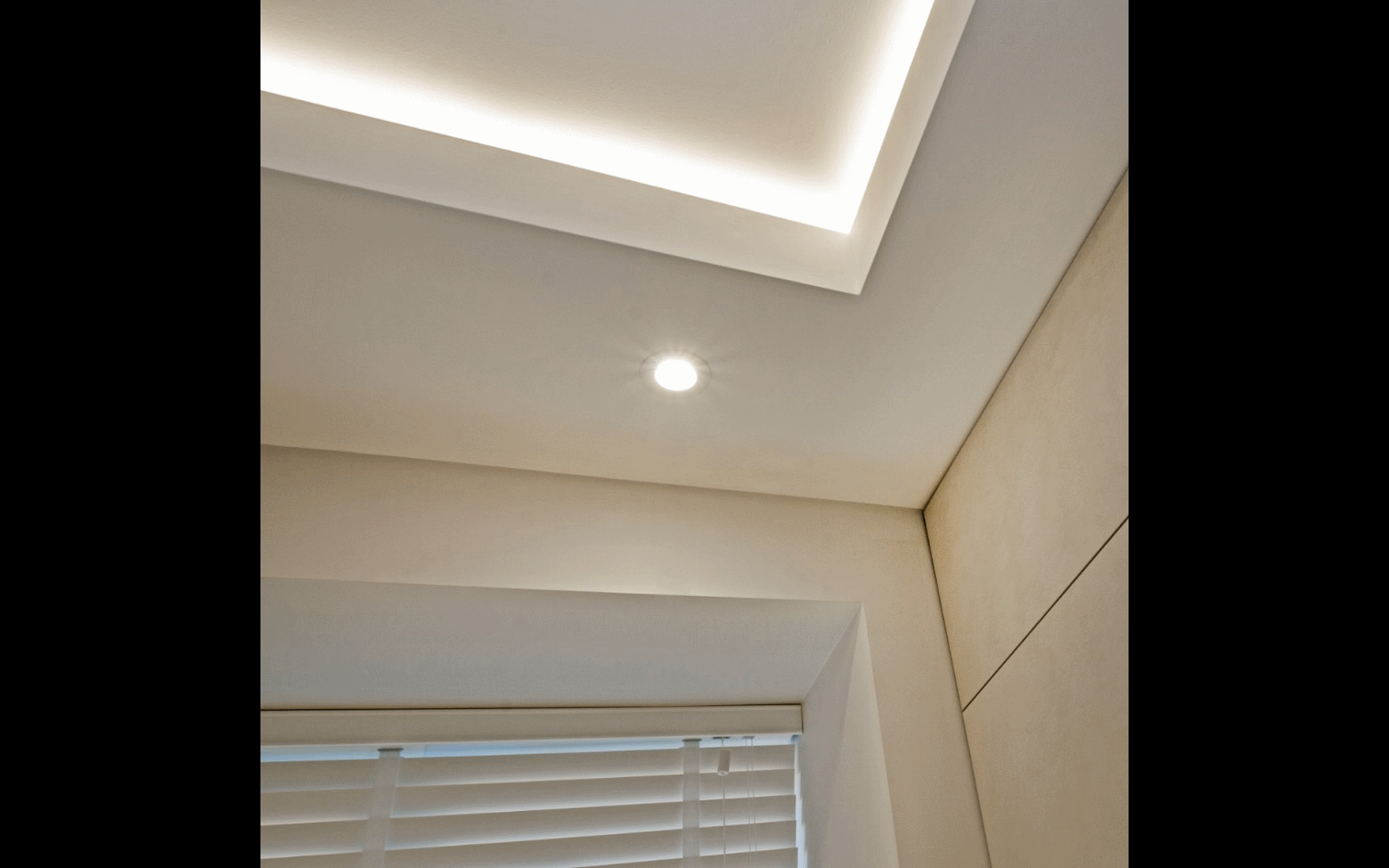 Taylor Hi-res  14.png